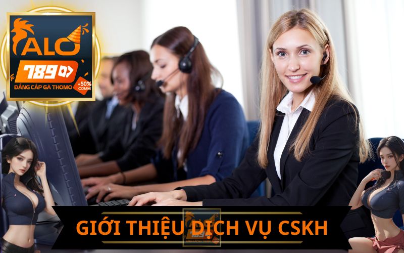 GIỚI THIỆU DỊCH VỤ CHĂM SÓC KHÁCH HÀNG ALO789