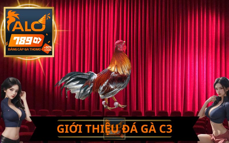 GIỚI THIỆU ĐA GÀ C3 TẠI ALO789