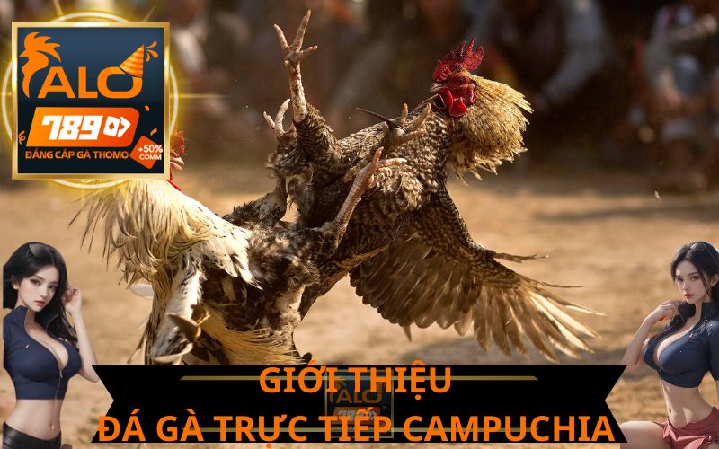 GIỚI THIỆU VỀ ĐÁ GÀ TRỰC TIẾP CAMPUCHIA