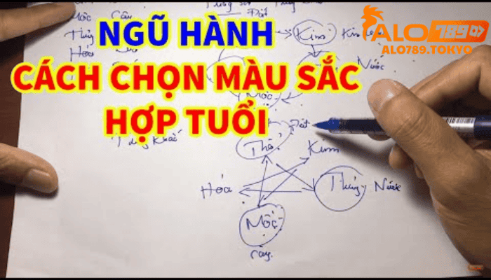 Tại Sao Việc Chọn Màu Mạng Gà Đá Lại Quan Trọng?